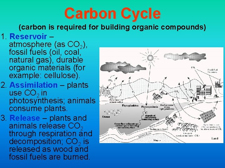 Carbon Cycle (carbon is required for building organic compounds) 1. Reservoir – atmosphere (as