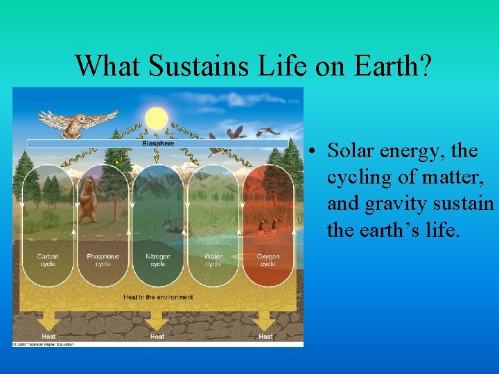 What Sustains Life on Earth? • Solar energy, the cycling of matter, and gravity