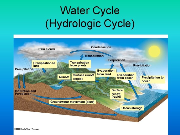 Water Cycle (Hydrologic Cycle) 