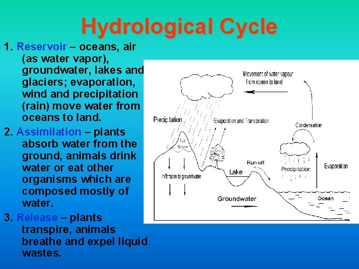 Hydrological Cycle 1. Reservoir – oceans, air (as water vapor), groundwater, lakes and glaciers;