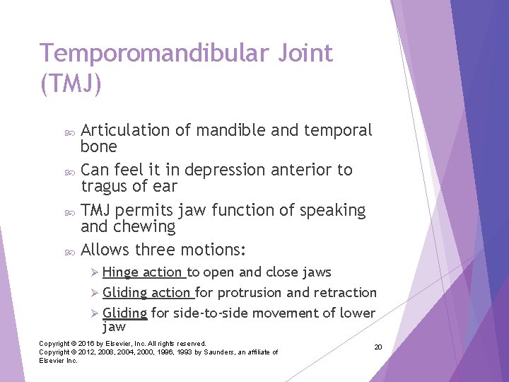 Temporomandibular Joint (TMJ) Articulation of mandible and temporal bone Can feel it in depression