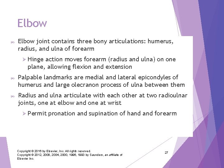 Elbow joint contains three bony articulations: humerus, radius, and ulna of forearm Ø Hinge