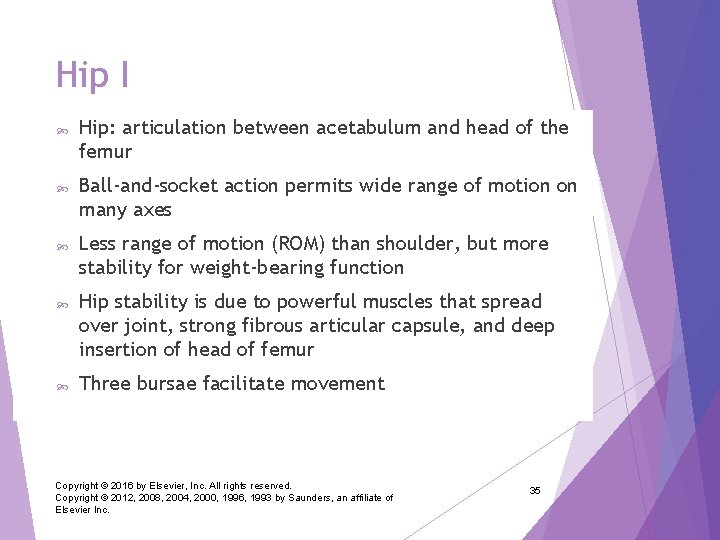 Hip I Hip: articulation between acetabulum and head of the femur Ball-and-socket action permits