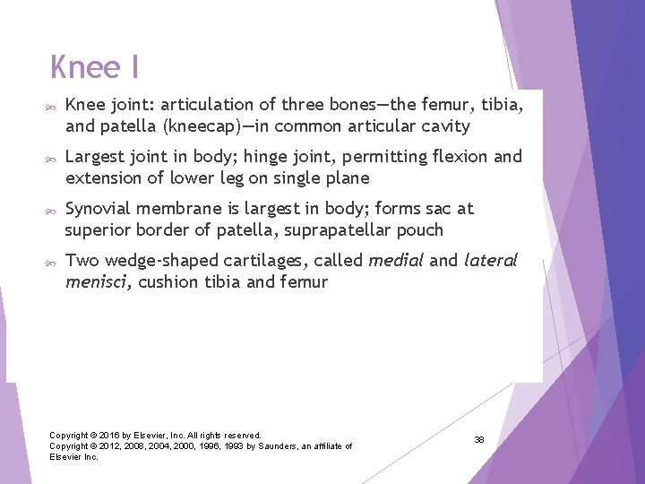Knee I Knee joint: articulation of three bones—the femur, tibia, and patella (kneecap)—in common