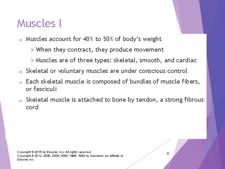 Muscles I Muscles account for 40% to 50% of body’s weight Ø When they