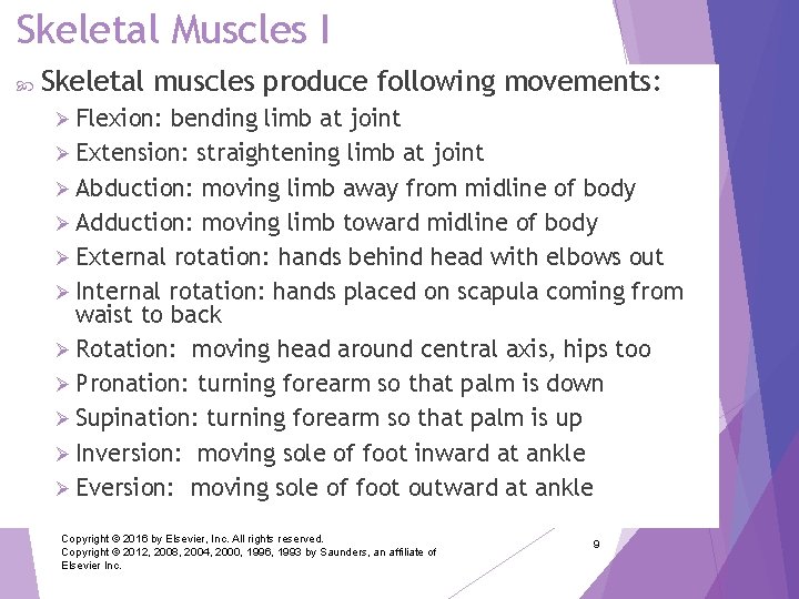 Skeletal Muscles I Skeletal muscles produce following movements: Ø Flexion: bending limb at joint