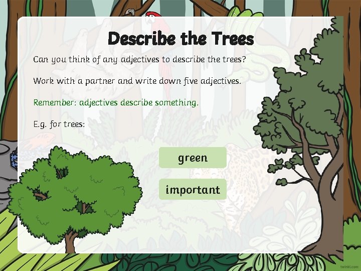 Describe the Trees Can you think of any adjectives to describe the trees? Work