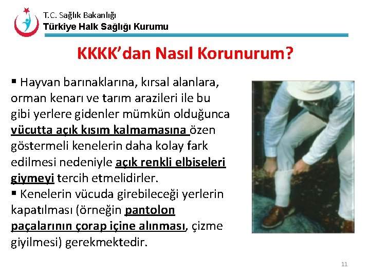 T. C. Sağlık Bakanlığı Türkiye Halk Sağlığı Kurumu KKKK’dan Nasıl Korunurum? § Hayvan barınaklarına,