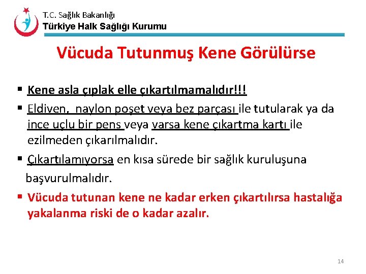 T. C. Sağlık Bakanlığı Türkiye Halk Sağlığı Kurumu Vücuda Tutunmuş Kene Görülürse § Kene
