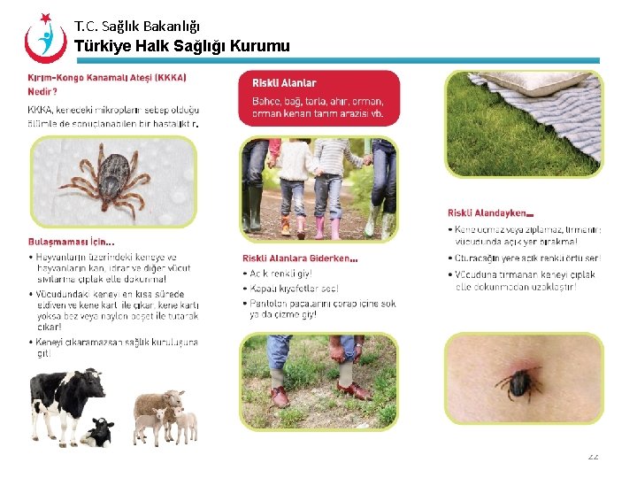 T. C. Sağlık Bakanlığı Türkiye Halk Sağlığı Kurumu 22 