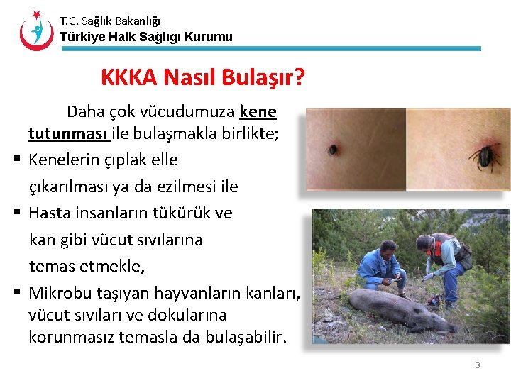 T. C. Sağlık Bakanlığı Türkiye Halk Sağlığı Kurumu KKKA Nasıl Bulaşır? Daha çok vücudumuza