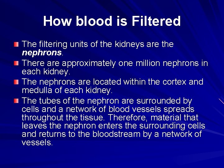 How blood is Filtered The filtering units of the kidneys are the nephrons. There