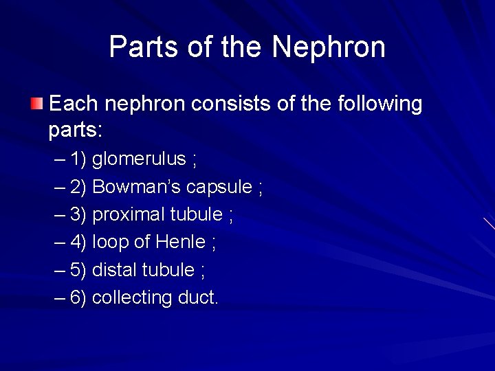 Parts of the Nephron Each nephron consists of the following parts: – 1) glomerulus