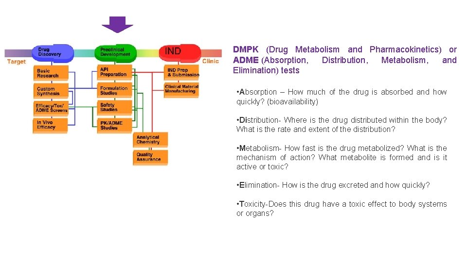 DMPK (Drug Metabolism and Pharmacokinetics) or ADME (Absorption, Distribution, Metabolism, and Elimination) tests •