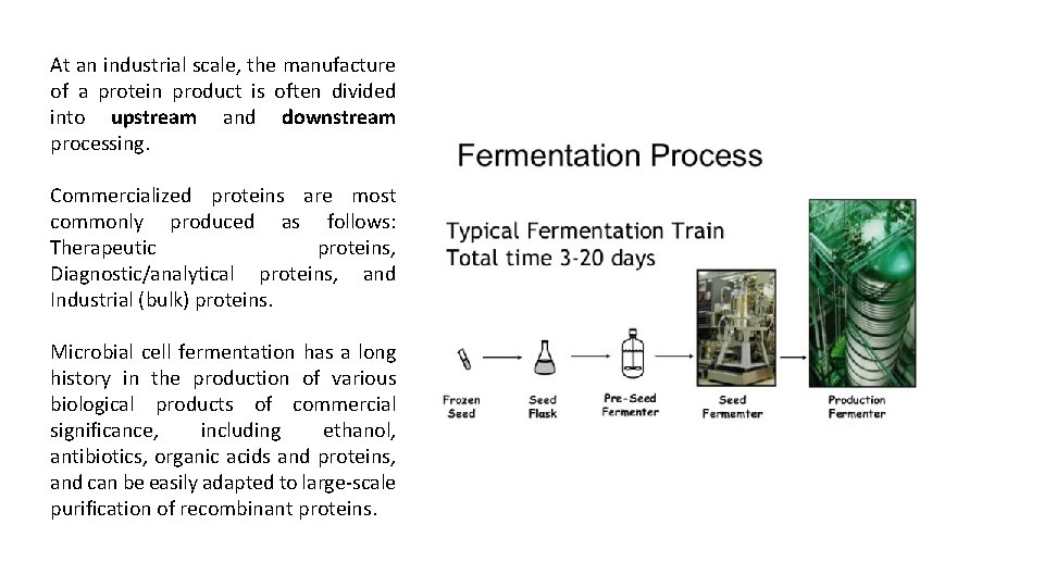 At an industrial scale, the manufacture of a protein product is often divided into