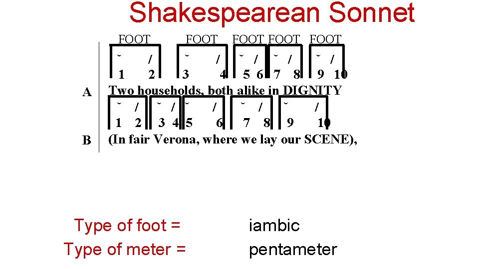 Shakespearean Sonnet FOOT A B FOOT ˘ / ˘ / ˘ / 1 2