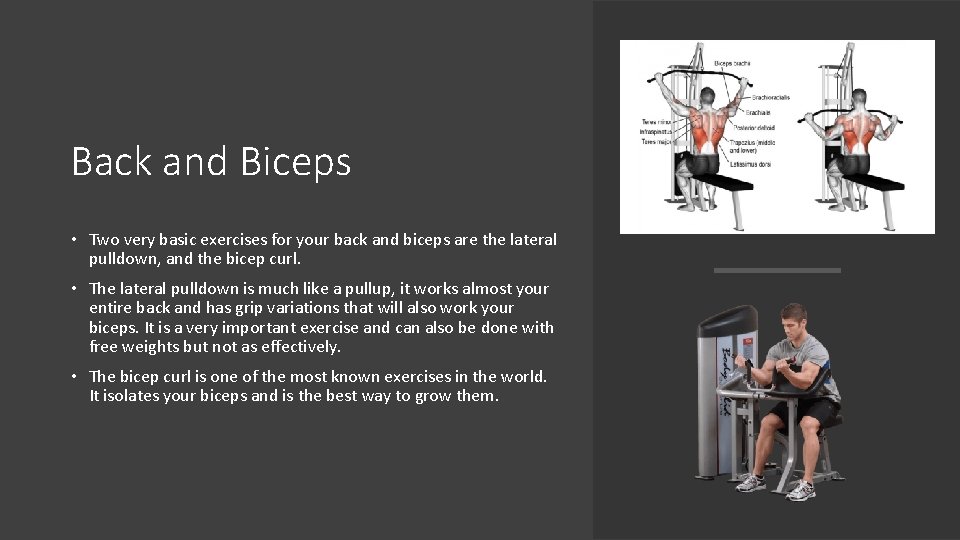 Back and Biceps • Two very basic exercises for your back and biceps are