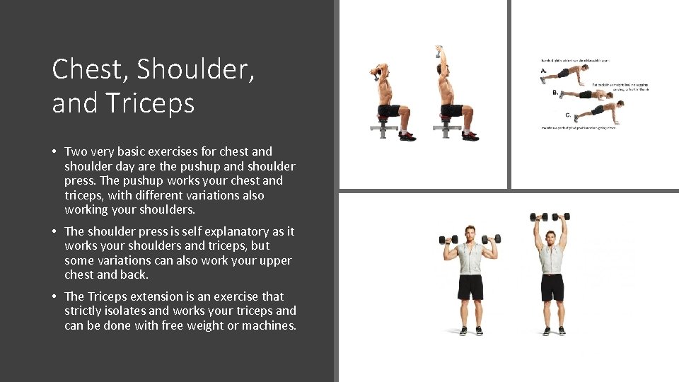 Chest, Shoulder, and Triceps • Two very basic exercises for chest and shoulder day