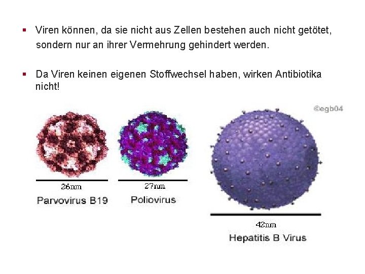 § Viren können, da sie nicht aus Zellen bestehen auch nicht getötet, sondern nur
