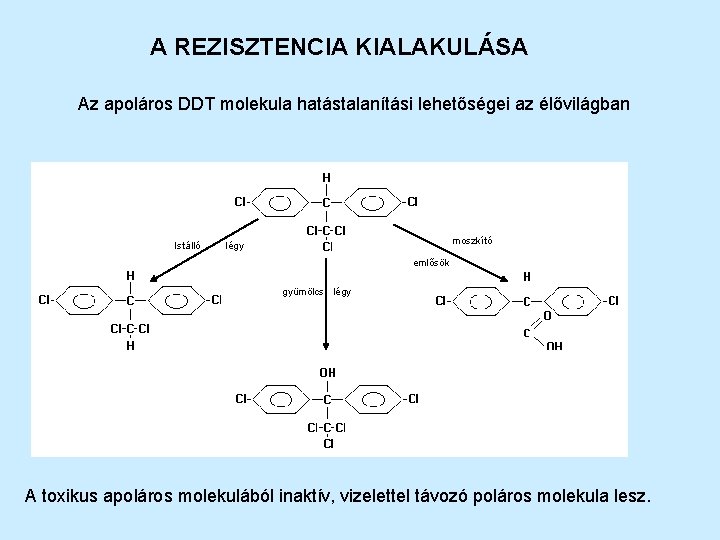 A REZISZTENCIA KIALAKULÁSA Az apoláros DDT molekula hatástalanítási lehetőségei az élővilágban Istálló moszkító légy