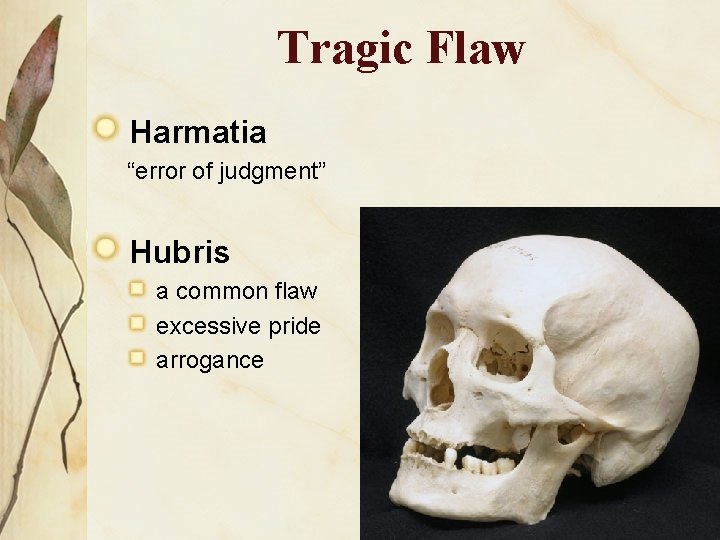 Tragic Flaw Harmatia “error of judgment” Hubris a common flaw excessive pride arrogance 