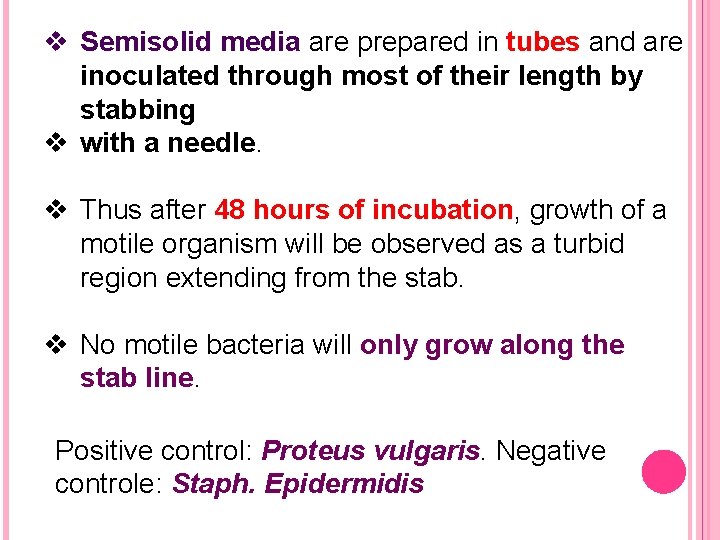 v Semisolid media are prepared in tubes and are inoculated through most of their