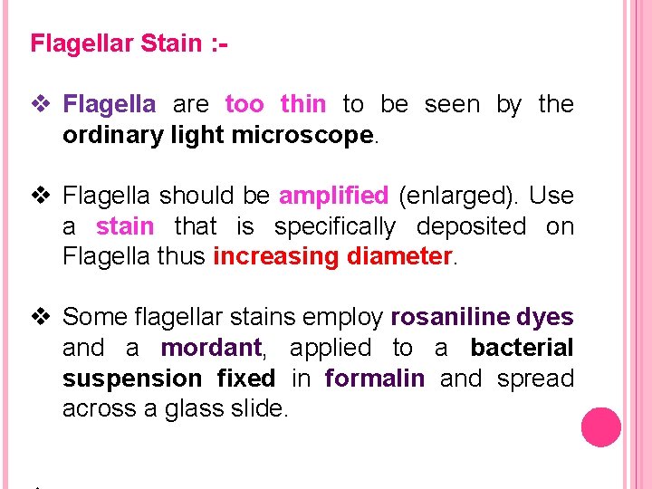 Flagellar Stain : - v Flagella are too thin to be seen by the