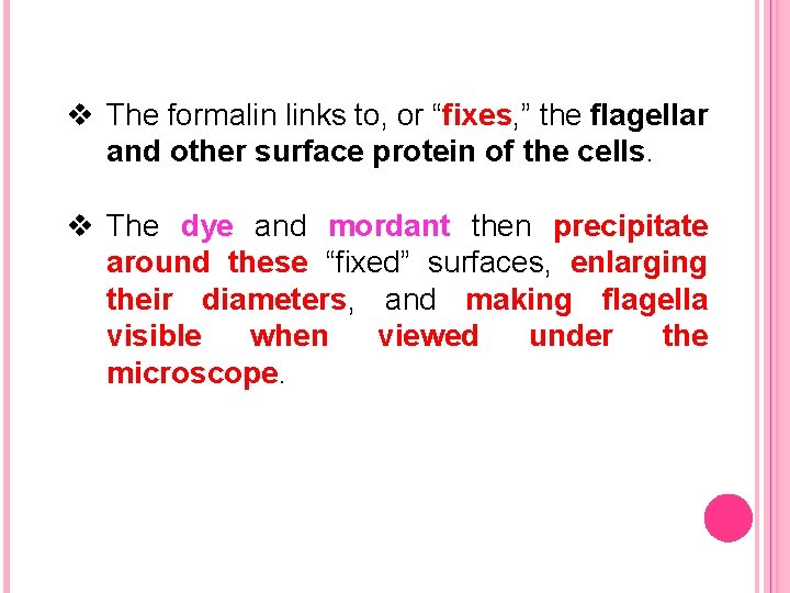 v The formalin links to, or “fixes, ” the flagellar and other surface protein