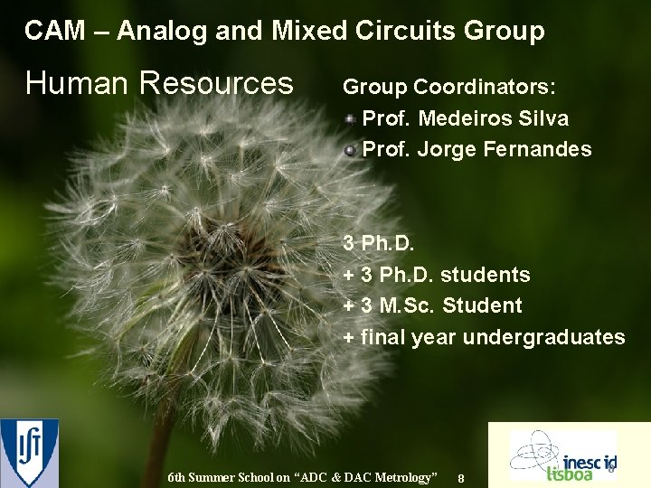 CAM – Analog and Mixed Circuits Group Human Resources Group Coordinators: Prof. Medeiros Silva
