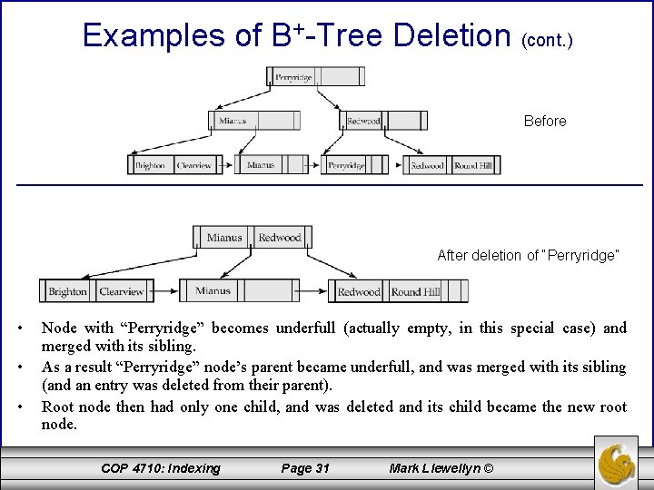 Examples of B+-Tree Deletion (cont. ) Before After deletion of “Perryridge” • • •