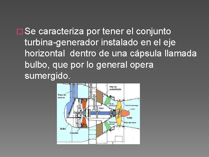 � Se caracteriza por tener el conjunto turbina-generador instalado en el eje horizontal dentro