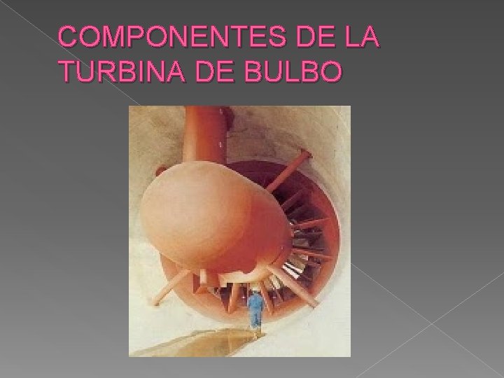 COMPONENTES DE LA TURBINA DE BULBO 