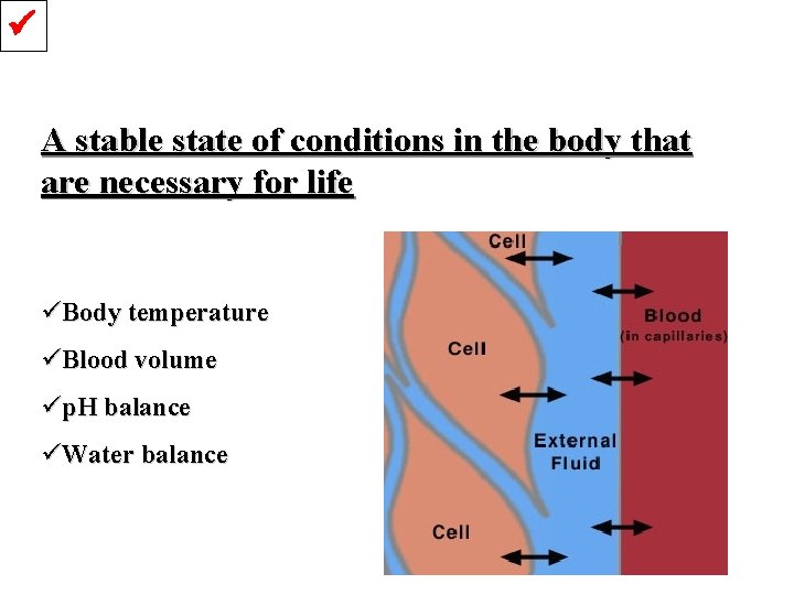  A stable state of conditions in the body that are necessary for life