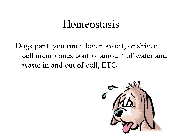 Homeostasis Dogs pant, you run a fever, sweat, or shiver, cell membranes control amount