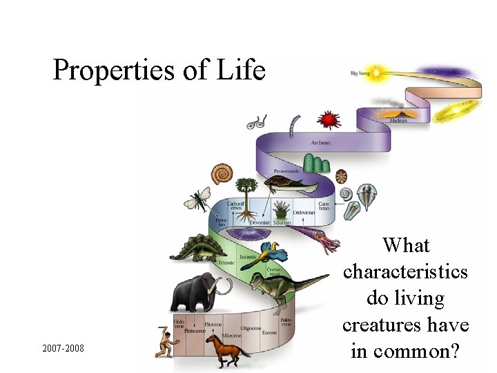 Properties of Life 2007 -2008 What characteristics do living creatures have in common? 