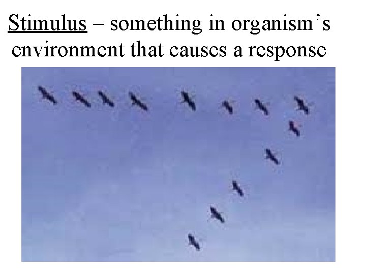 Stimulus – something in organism’s environment that causes a response 