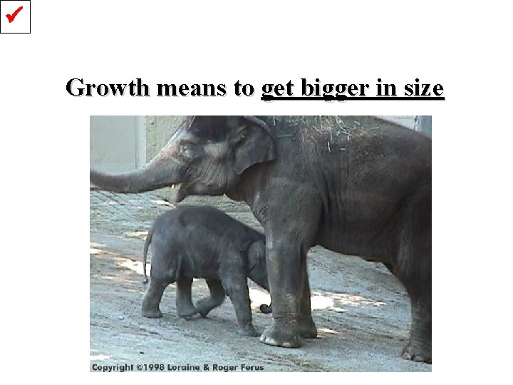  Growth means to get bigger in size 