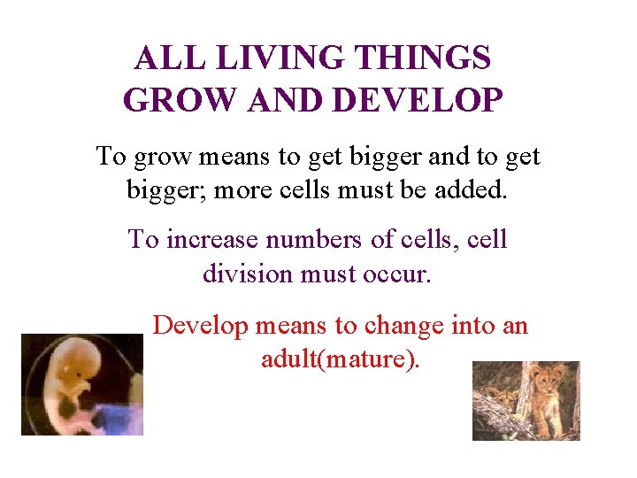 ALL LIVING THINGS GROW AND DEVELOP To grow means to get bigger and to