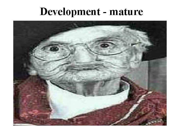 Development - mature 