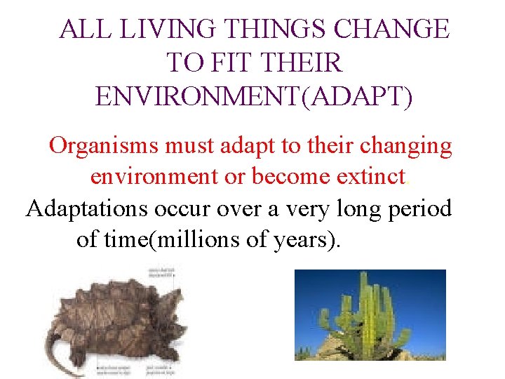 ALL LIVING THINGS CHANGE TO FIT THEIR ENVIRONMENT(ADAPT) Organisms must adapt to their changing