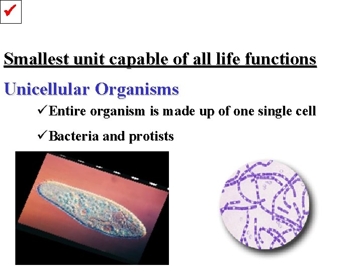  Smallest unit capable of all life functions Unicellular Organisms üEntire organism is made