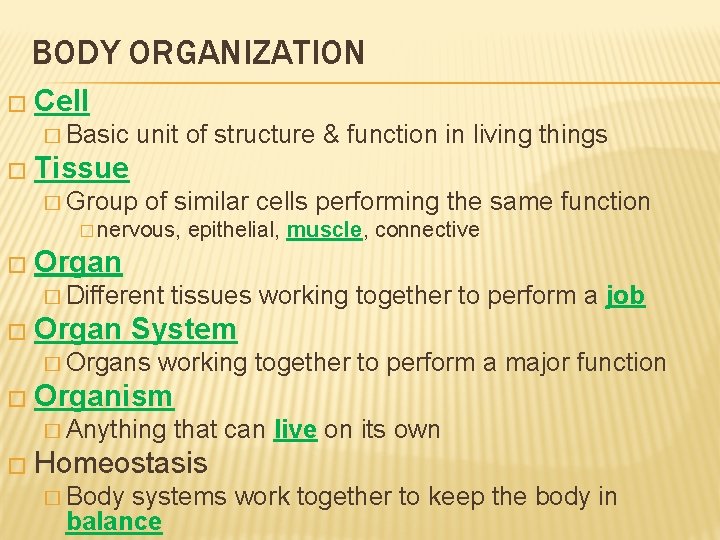 BODY ORGANIZATION � Cell � Basic unit of structure & function in living things