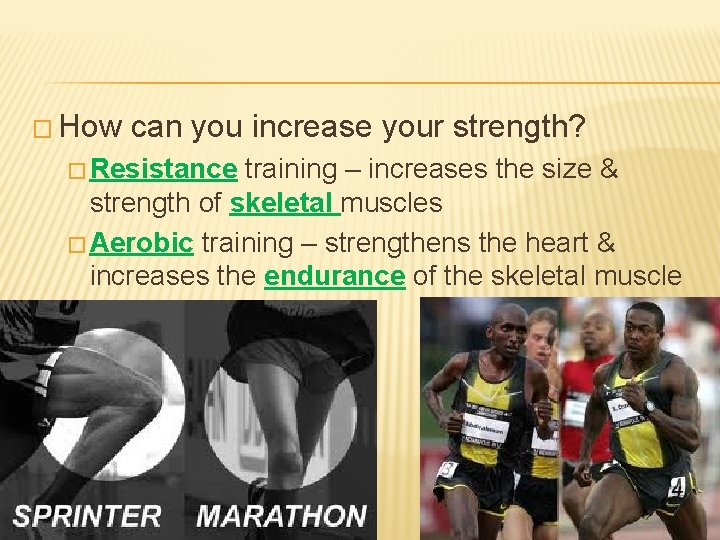 � How can you increase your strength? � Resistance training – increases the size