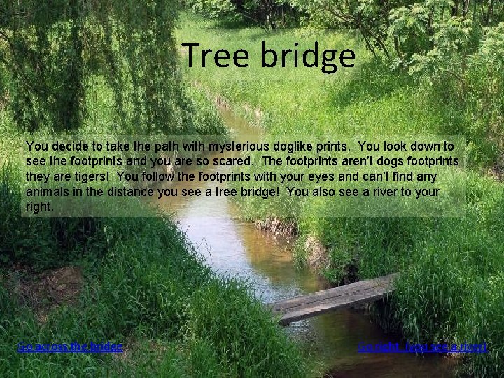 Tree bridge You decide to take the path with mysterious doglike prints. You look