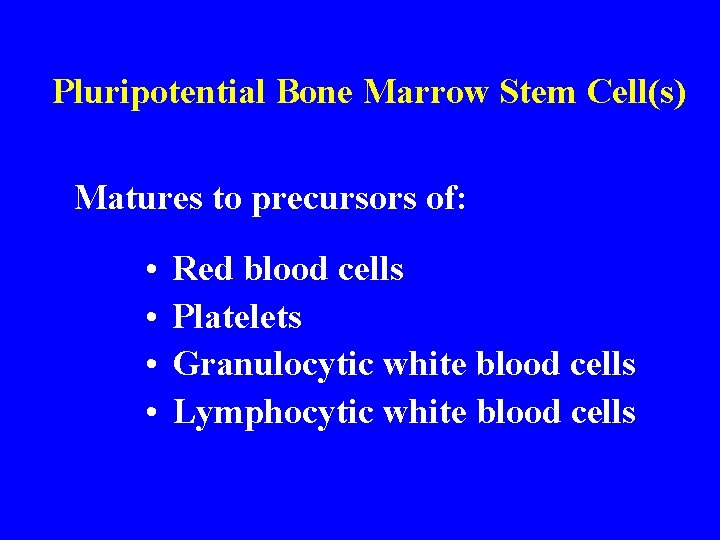 Pluripotential Bone Marrow Stem Cell(s) Matures to precursors of: • • Red blood cells