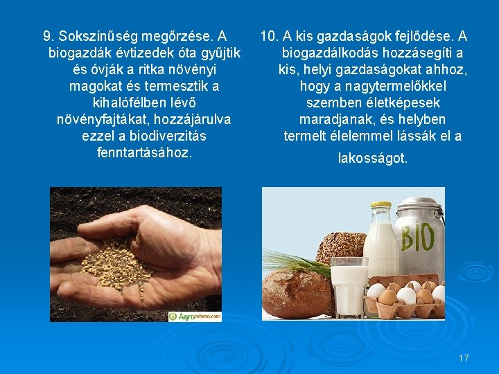 9. Sokszínűség megőrzése. A biogazdák évtizedek óta gyűjtik és óvják a ritka növényi magokat