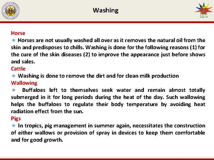 Washing Horses are not usually washed all over as it removes the natural oil