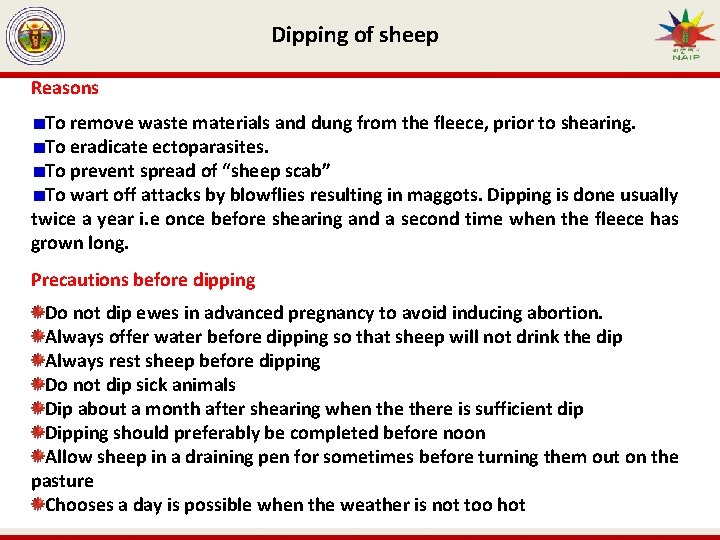 Dipping of sheep Reasons To remove waste materials and dung from the fleece, prior