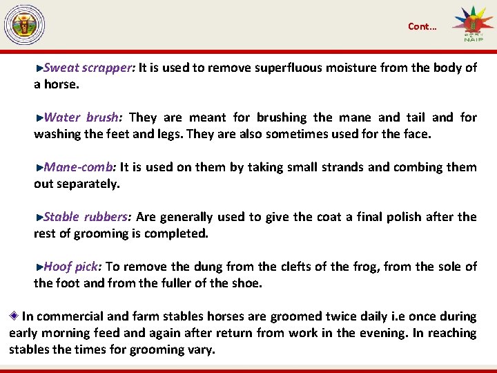 Cont… Sweat scrapper: It is used to remove superfluous moisture from the body of