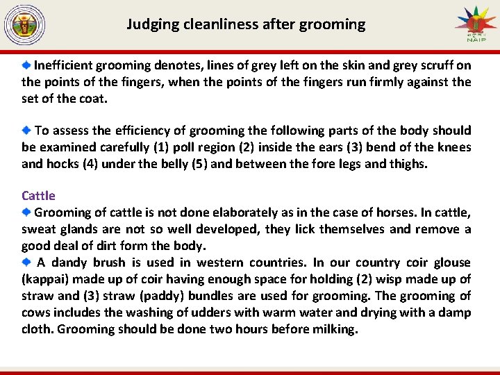 Judging cleanliness after grooming Inefficient grooming denotes, lines of grey left on the skin